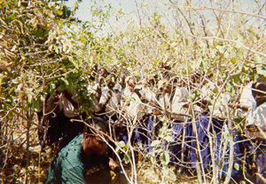 Tungamalenga's environmental teacher has the students exploring outside. 