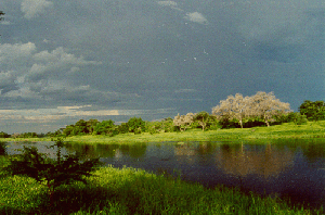 The Great Ruaha River before it dried up every year.